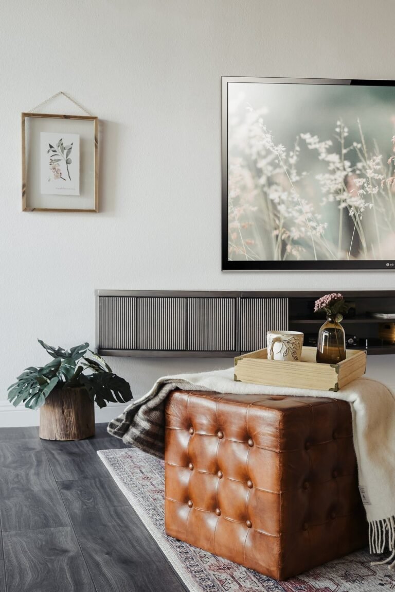 TV Stand Ideas