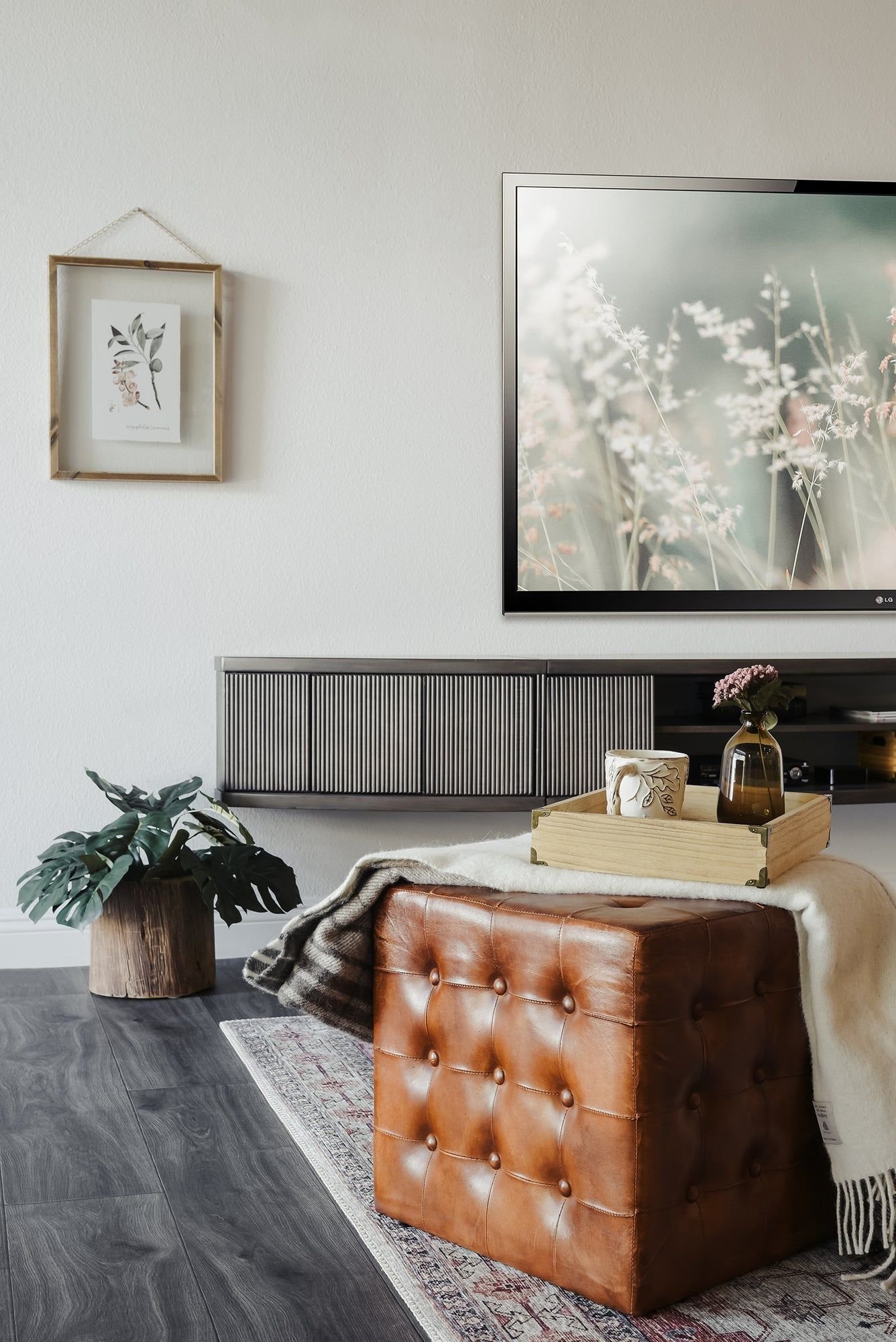 TV Stand Ideas